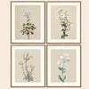 Set of four abstract paintings