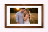 Synthetic Frame - LM - 511