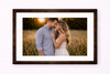 Synthetic Frame - LM - 511