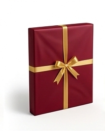 Premium Golden Framed Goddess Saraswati Wall Art for Home Decor