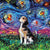 The Starry Night