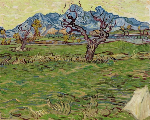 Landscape with Olive Tree and Mountains in the Background