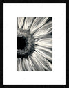 Black and White Painting
