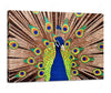 Peacock Painting