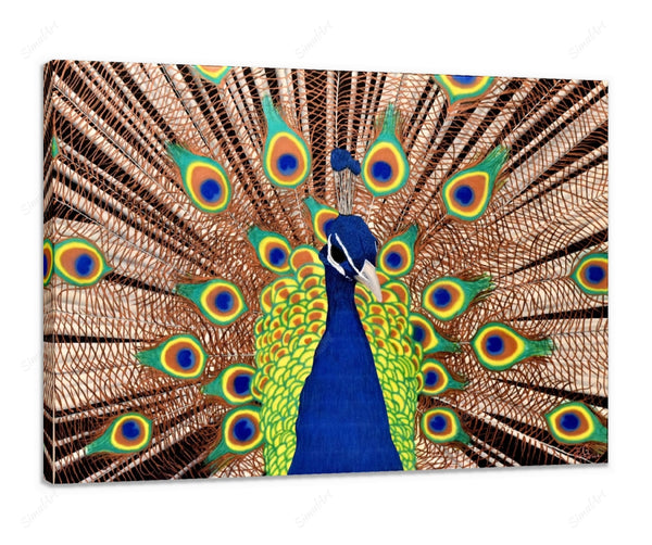 Peacock Painting