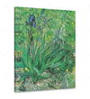 Vault W Artwork Canvas The Lily Saint Remy