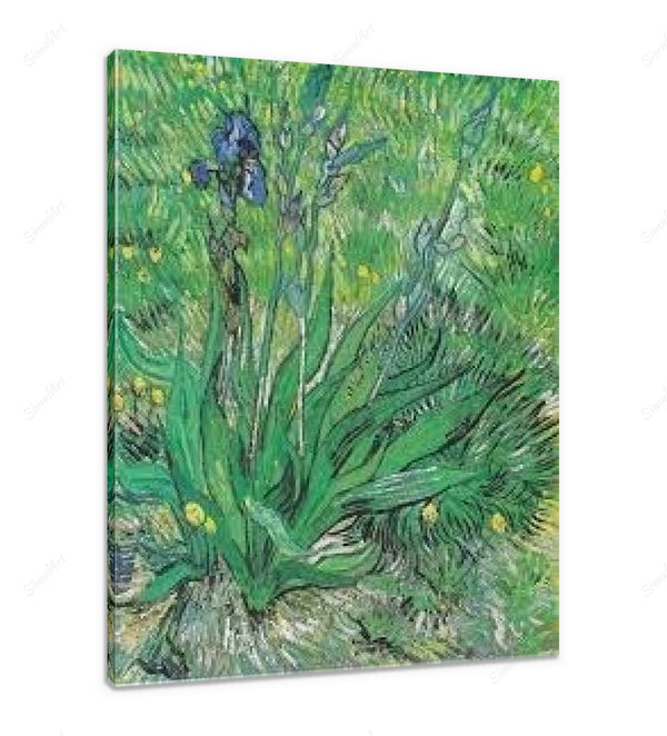 Vault W Artwork Canvas The Lily Saint Remy