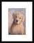 Dog Painting