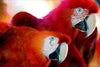 Parrot Painting