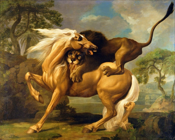 A Lion Attacking A Horse