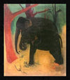 Elephants