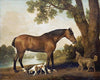 Famous Horse Paintings