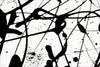 Black and White Painting