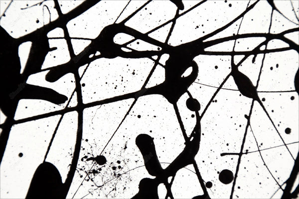 Black and White Painting