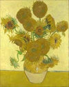 15 Sunflowers