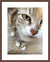 Framed print with mat & glazing