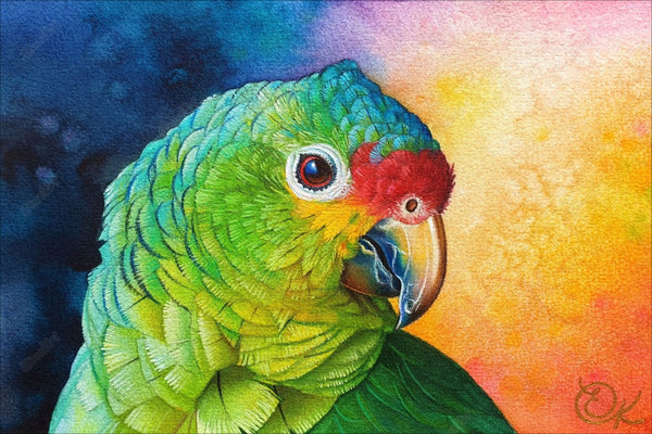 Parrot Painting