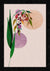 Pichwai Painting