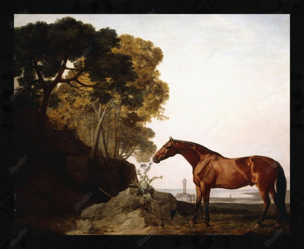 A Bay Arab In A Coastal Landscape,1779