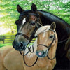 Horse Painting