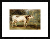 Cow Painting