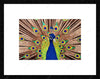 Peacock Painting