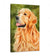 Dog Painting