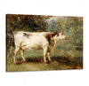 Cow Painting