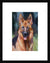 Dog Painting