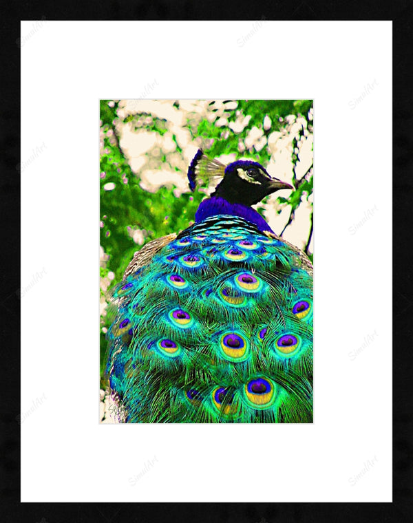 Peacock Painting