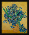 Irises
