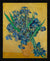 Irises