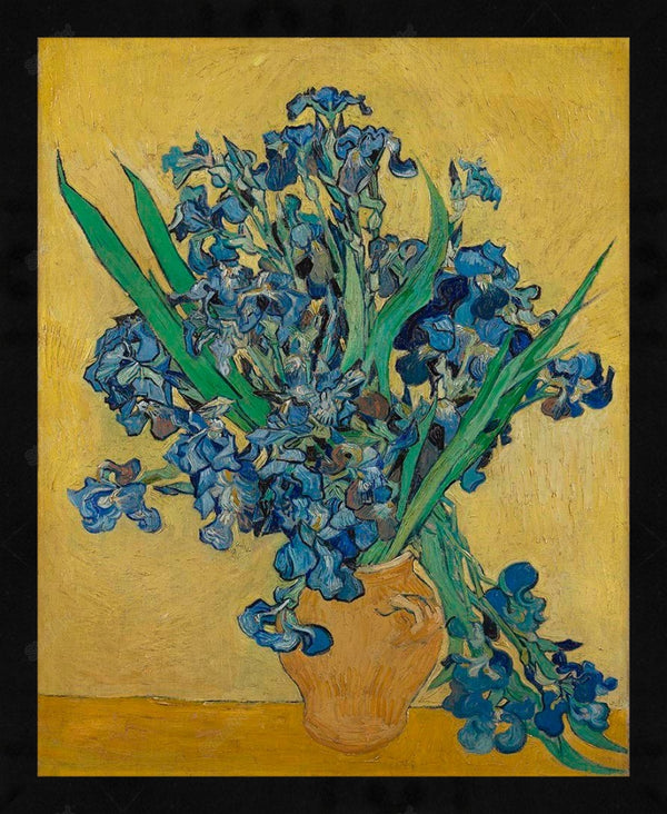 Irises