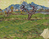 Landscape with Olive Tree and Mountains in the Background
