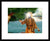 Guru Nanak Dev Ji Painting