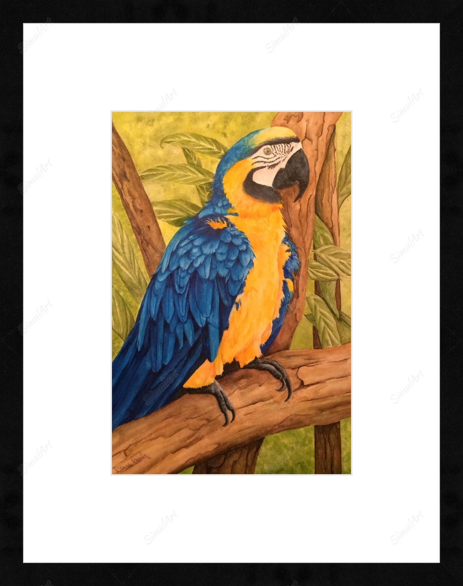 Parrot Painting