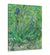 Vault W Artwork Canvas The Lily Saint Remy
