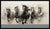 7 horse