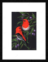 Bird Painting
