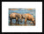 Elephant Art paintings