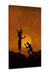 Hanuman Ji Big Canvas Painting