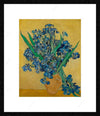 Irises
