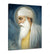 Shri Guru Nanak Dev Ji