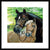 Horse Painting