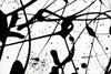 Black and White Painting