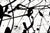 Black and White Painting