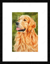 Dog Painting
