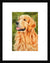 Dog Painting