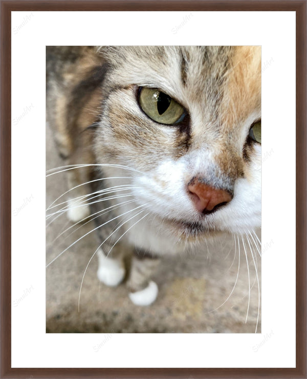 Framed print with mat & glazing