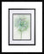 Modern Framed Art